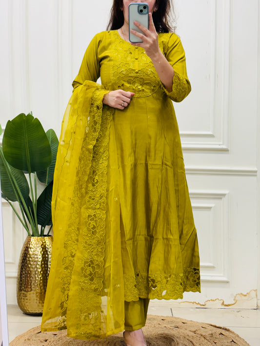 Pakistani laced detailing anarkali set